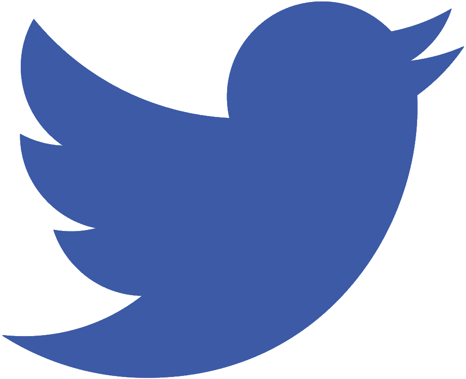 footer logo twitter fictif
